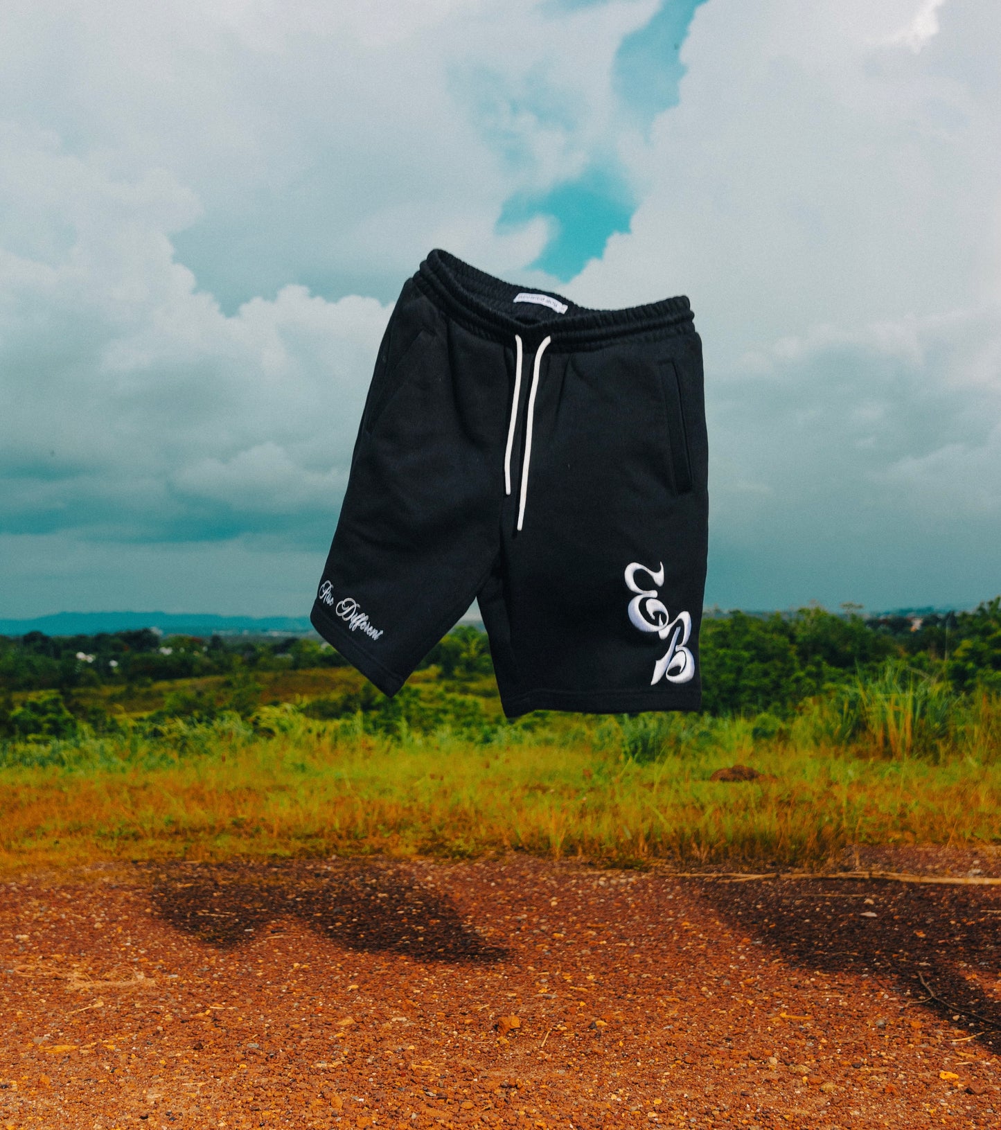 Elevated Shorts